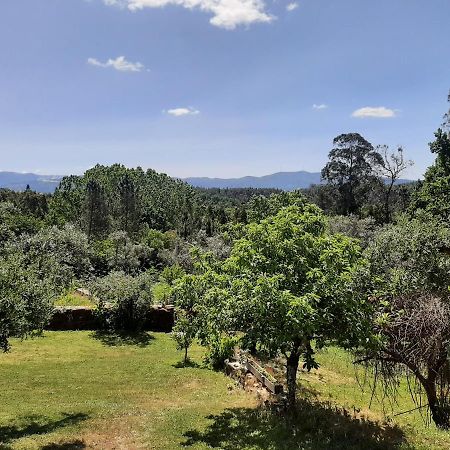 Bed and Breakfast Porturama Mouronho Esterno foto