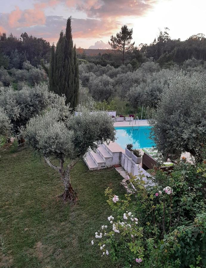 Bed and Breakfast Porturama Mouronho Esterno foto