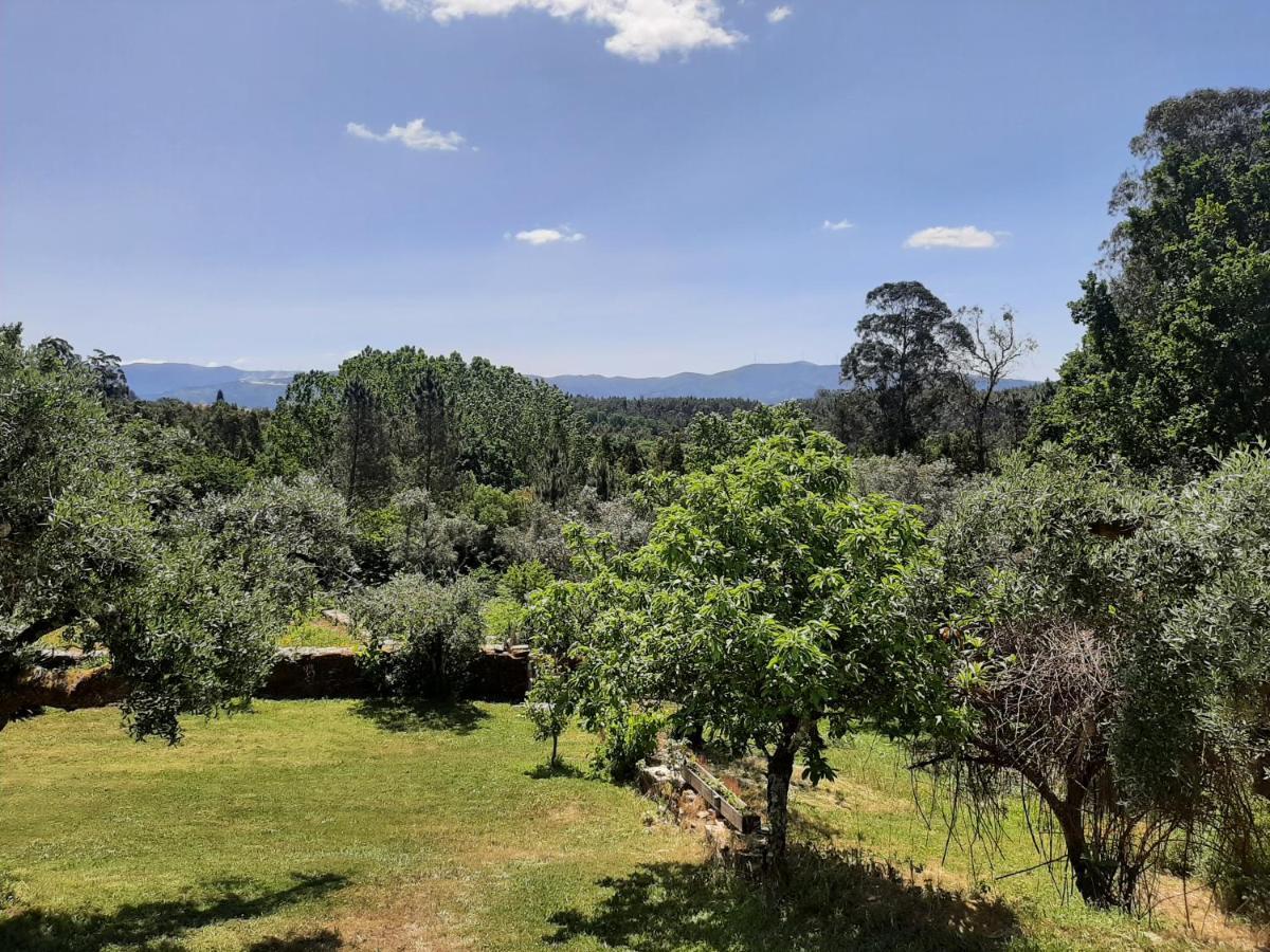Bed and Breakfast Porturama Mouronho Esterno foto